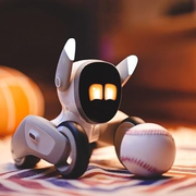 Loona - Smart Robot