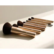 Beautifect - Professional Brush Collection